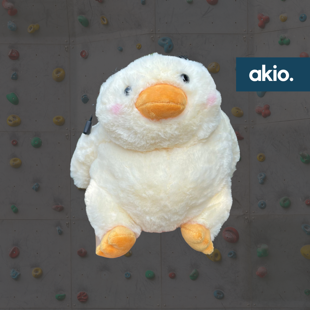 Chonky Duck Chalk Bag, front view