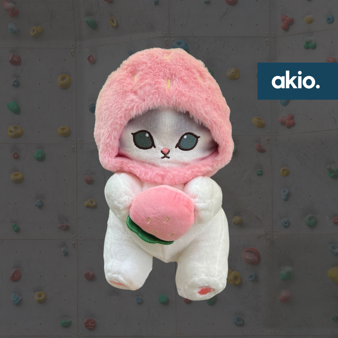 Mofusand Cat Strawberry Chalk Bag, front view