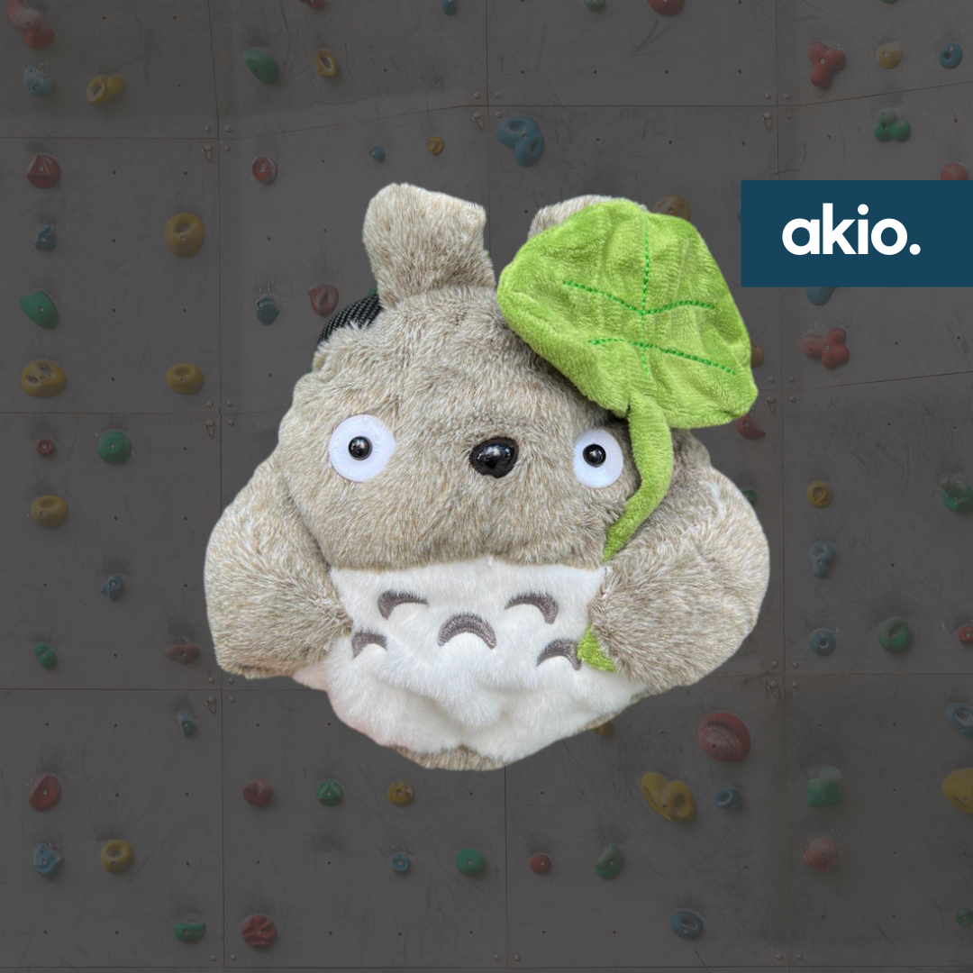 totoro schlafsack Grey Chinchilla Chalk Bag – akiomakes