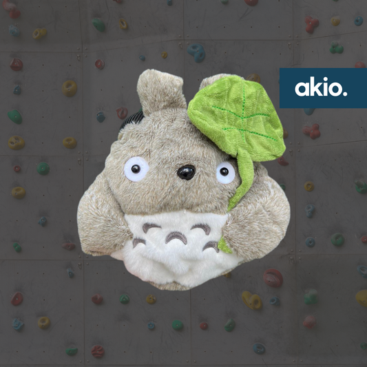 Totoro Chalk Bag, front view