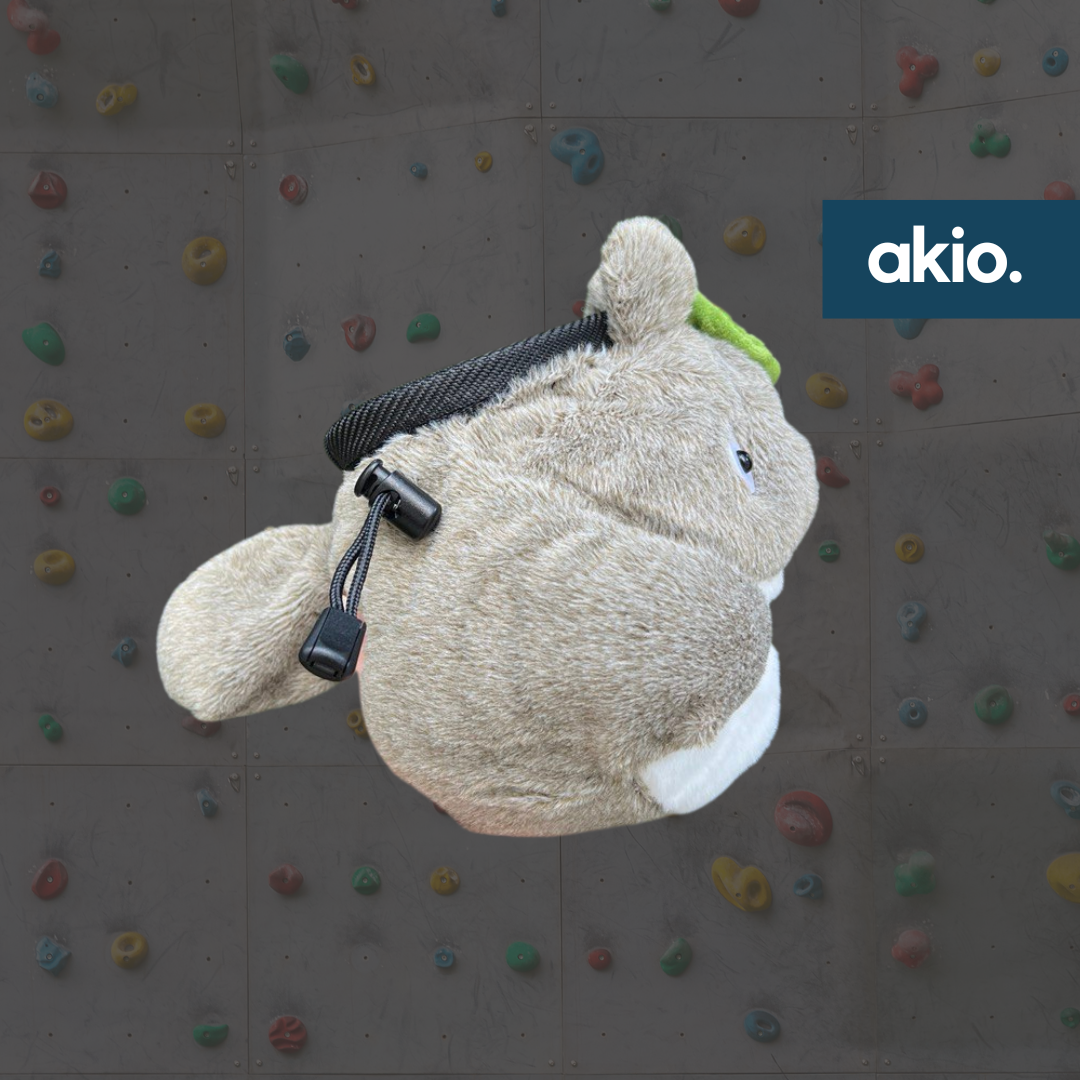 totoro schlafsack Grey Chinchilla Chalk Bag – akiomakes